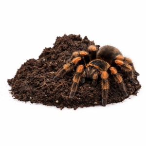 d47a395fc2697ca061cc7bd13df2e163