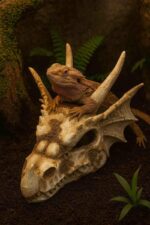 Dekoracja ozdoba terrarium czaszka smok Happet - obrazek 5