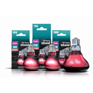 Żarówka dla żółwia - Jak dobrać odpowiednią?