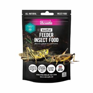 Insect fuel feeder insect food