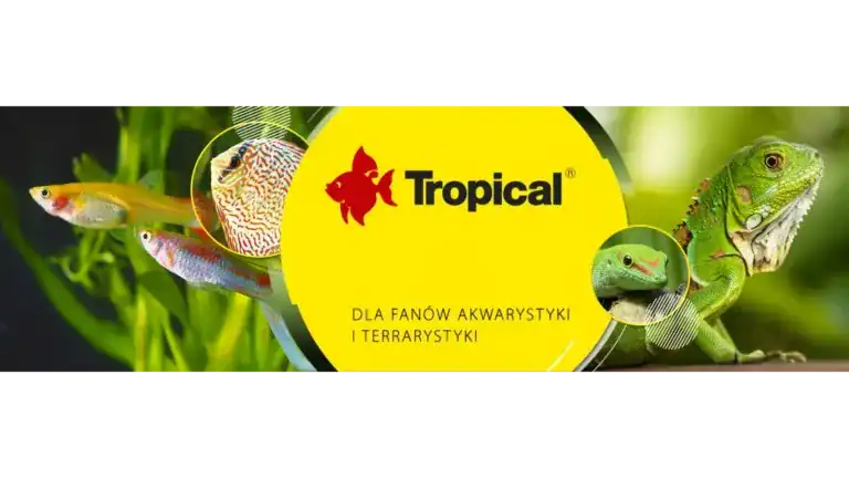 Prezentacja marki Tropical