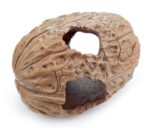 028e9edf5ceda762501709a0c04ec134