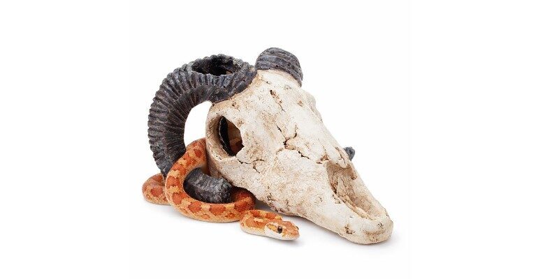 Dekoracja Ozdoba akwariowa – czaszka muflona Happet Dekoracja Ozdoba akwariowa – czaszka muflona Happet