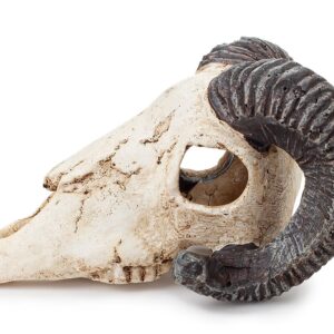 7bfca03f0415dc3e5a6684be93cc4fd1