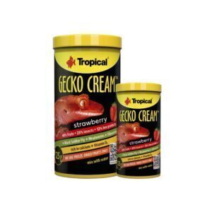 gecko cream strawberry