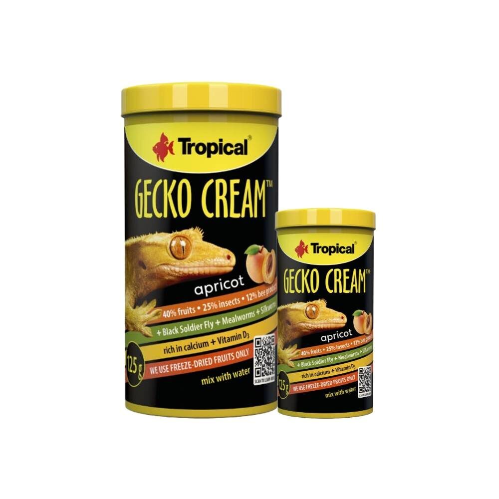gecko cream tropical gecko cream apricot