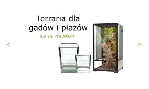 Strona Główna Strona Główna