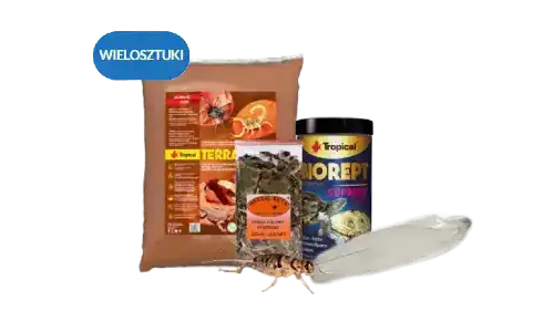 Strona Główna Strona Główna