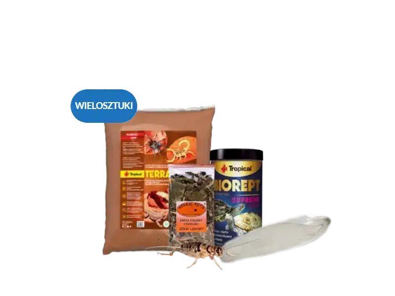 Strona Główna Strona Główna