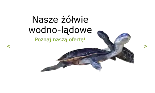 Strona Główna Strona Główna