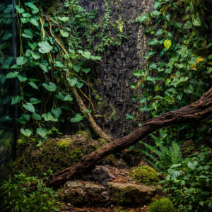 6acf1fa67ed27b50329c972f32b269ea