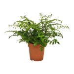 2742843f323a51d354a39719689e8586