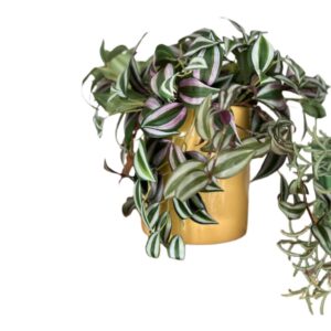 ca734c25b674e144d39d3773a0d6b07f