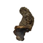 73f6d84141bad579be2a3798a2138618