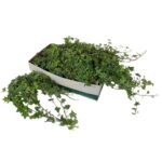 a1e817e1b22c292735c1030e4bfe6c95