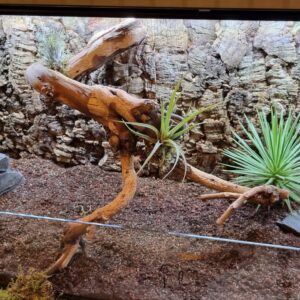 7e5dcf673782bfa8dae7b304e0257c30