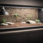kamień do terrarium dekoracja w terrarium