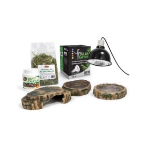 Zestaw dla żółwia