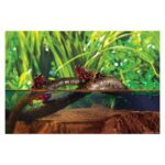 565bceeb715da4096097f5fc60f1f35f