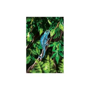 7058c9eccbff79399b8c71207b71b43d