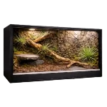 Strona Główna Strona Główna