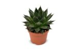 58c52a90508f9de6447ce243d1701cde