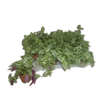 a544e25c2c80007f58d019187e395d5c