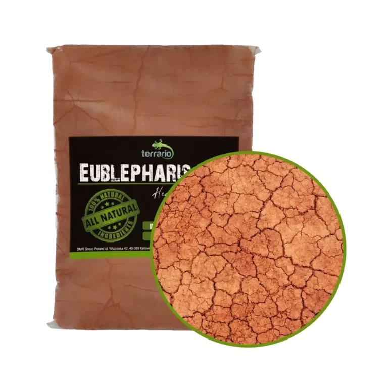 Terrario Eublepharis Dirt