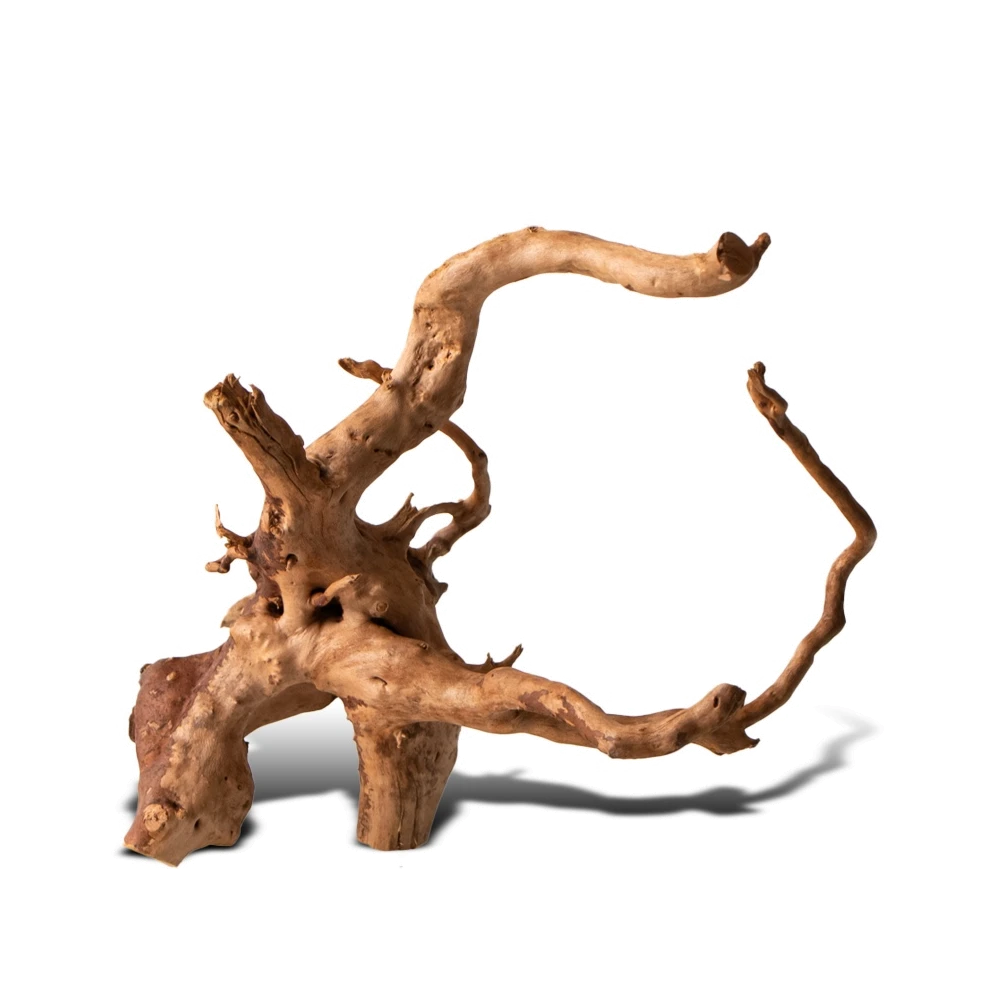 e81be14bf0b3acc797200a9baccc7fc9.webp e45fda07b62d2c570f2c30f4b6a0c71c