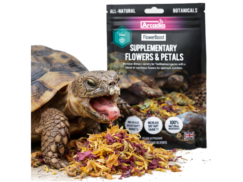 Arcadia FlowerBoost