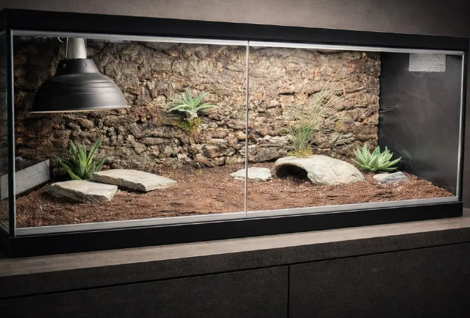 terrarium dla żółwia lądowego