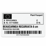 25d04581153c35c12c54381b192e421b