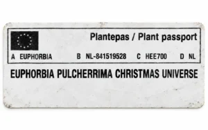 fa4c925e505c3a19637de2cae37dbf41