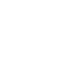 Soilico
