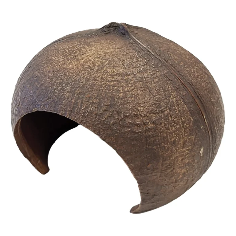Repto Deco Coconut