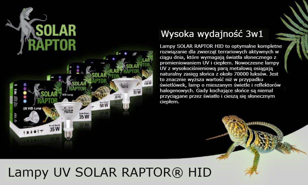 polska dystrybucja marki solar raptor i marak 