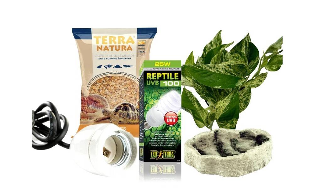 pomysł na prezent świąteczny