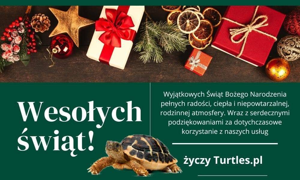 pomysł na prezent świąteczny